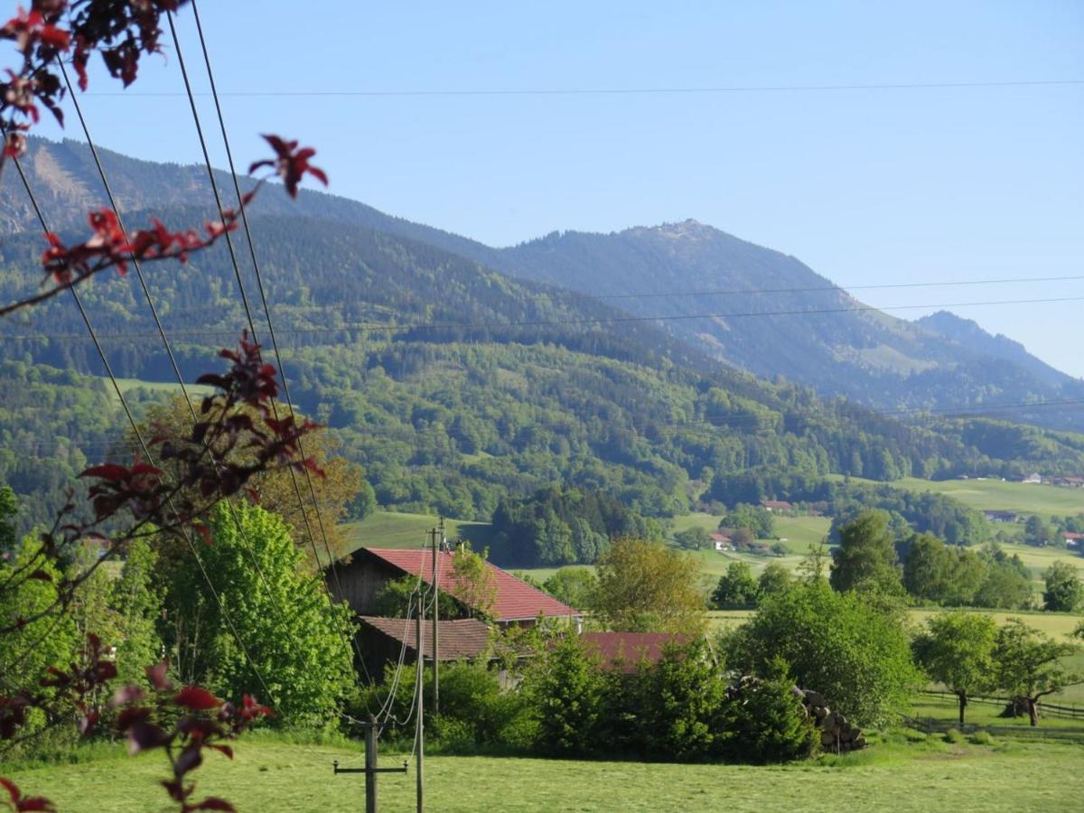 Ferienwohnung Riesenblick Frasdorf Exterior foto